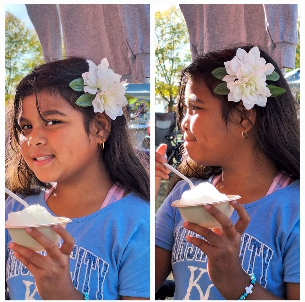 White Flower Hair Clip