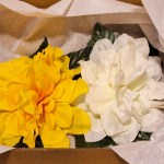 White Flower Hair Clip